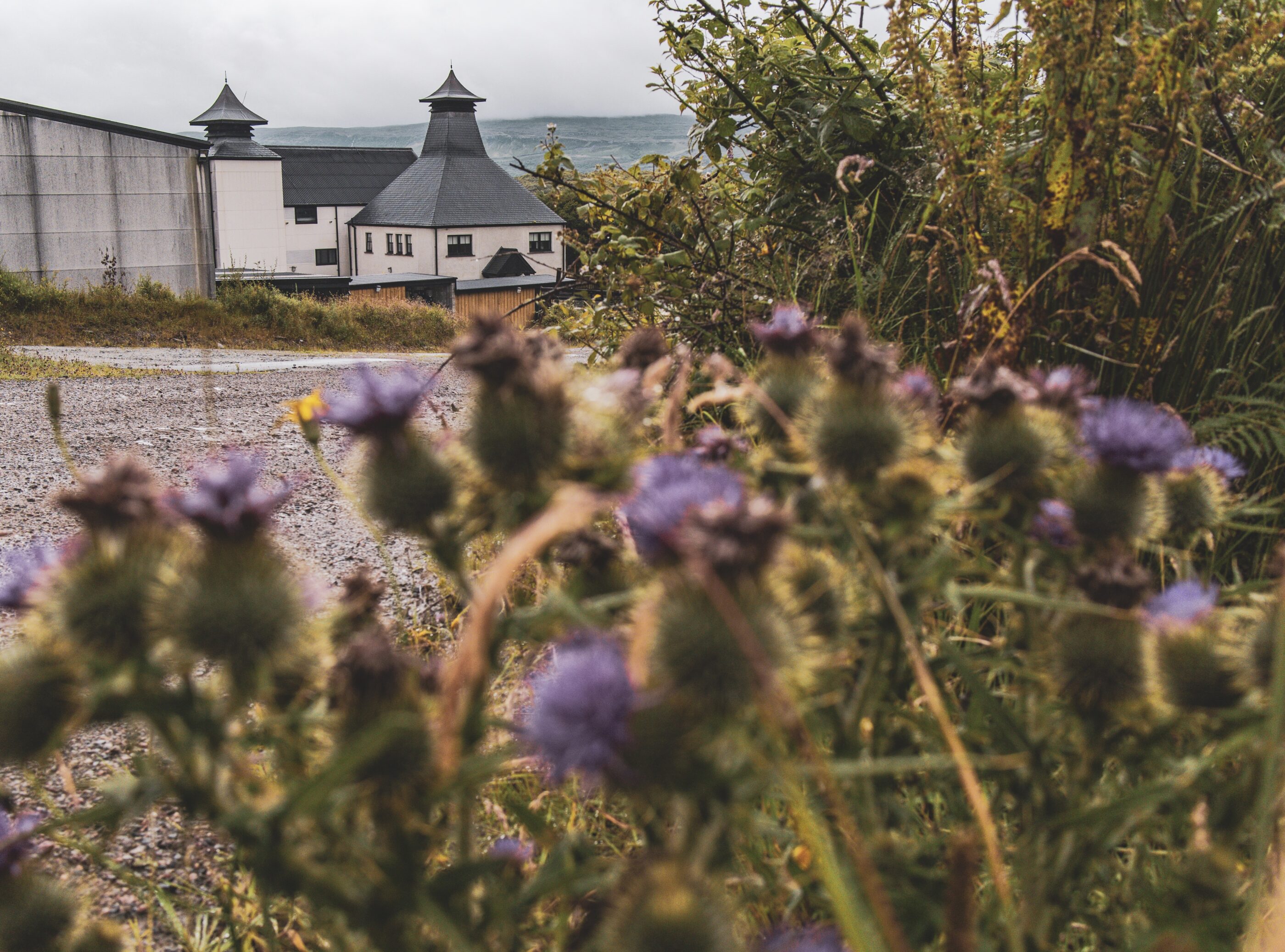 Thistle and Distillery